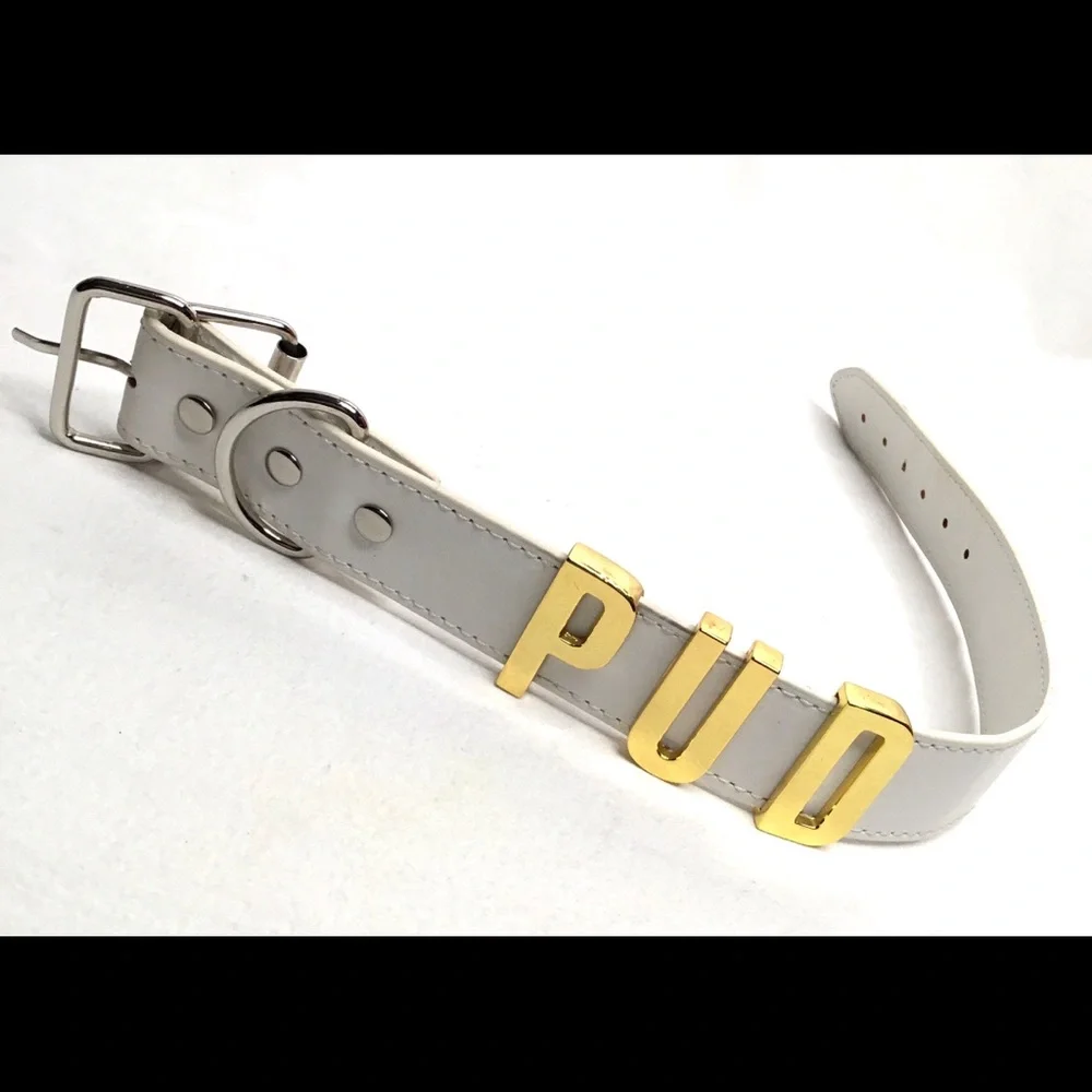 💎White Dog Collar Faux Leather With Metallic Letters Spelling PUD